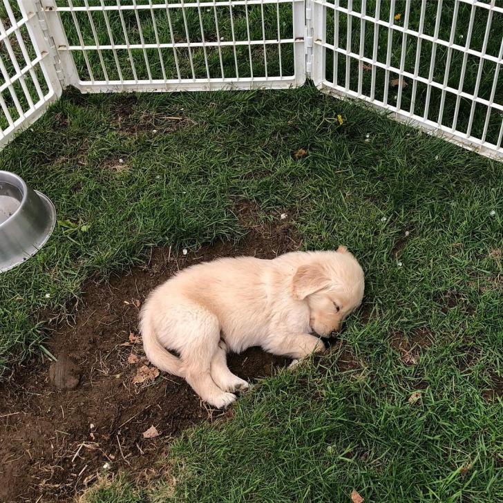 Digging+is+hard.