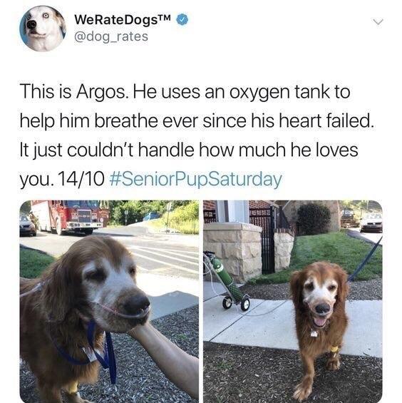 Breath+easy%2C+Argos%26%238230%3B