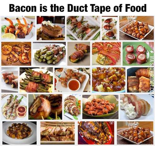 Bacon+is+the+duct+tape+of+food.