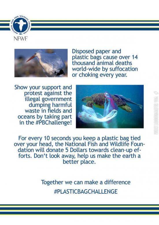 Just+saw+this+on+Twitter+%23plasticbagchallenge