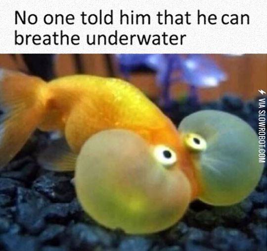 Someone+Please+Tell+Him