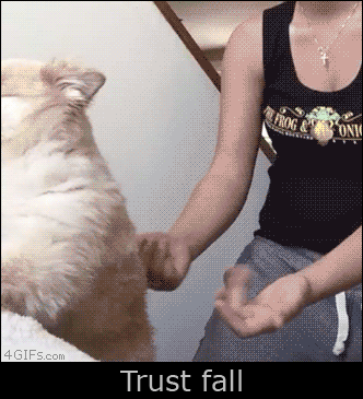 TRUST+FALL