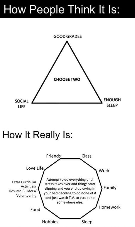 The+reality+of+school.