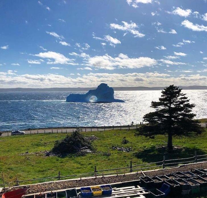 Iceberg+off+the+coast+of+Newfoundland%2C+Canada
