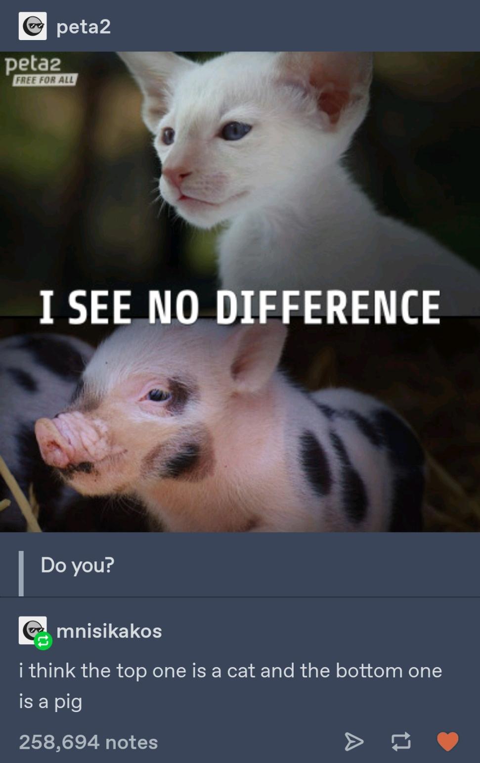 Nailed+it%26%238230%3B