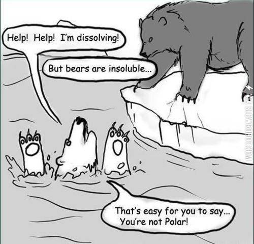 Polar+bear+problems.