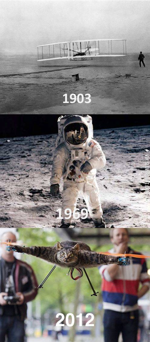 The+history+of+flight.