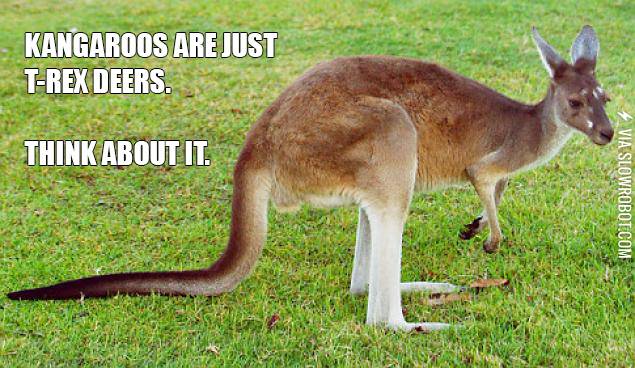 Kangaroos%26%238230%3B