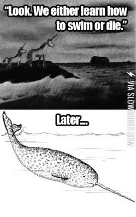 What+really+happened+to+the+unicorns.