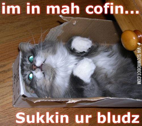 I+think+he%26%238217%3Bs+cute