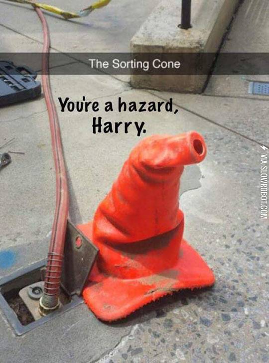 The+Sorting+Cone+Knows+Best