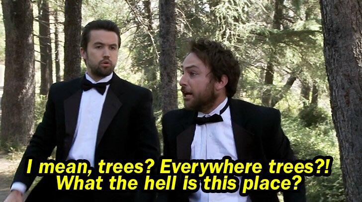 Moved+from+a+major+southern+city+to+a+small+town+in+Northern+Michigan