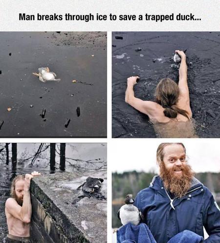 Man+Breaks+Through+Ice+To+Save+A+Trapped+Duck%26%238230%3B