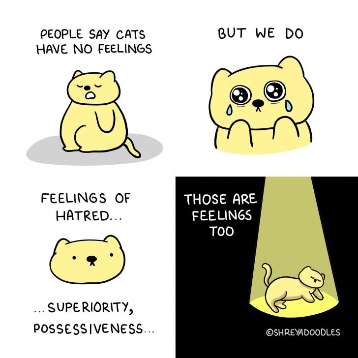 Cats+have+feelings.