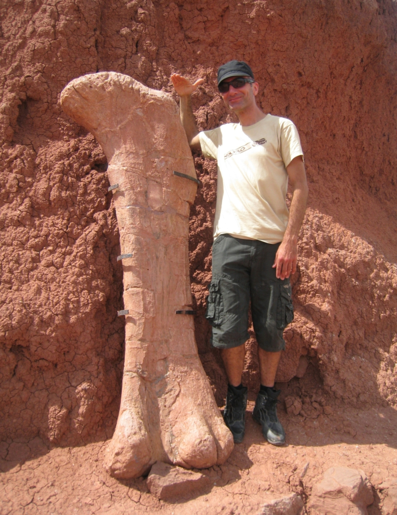 The+femur+of+an+Argentinosaurus%2C+the+largest+known+land+animal+to+have+ever+lived.
