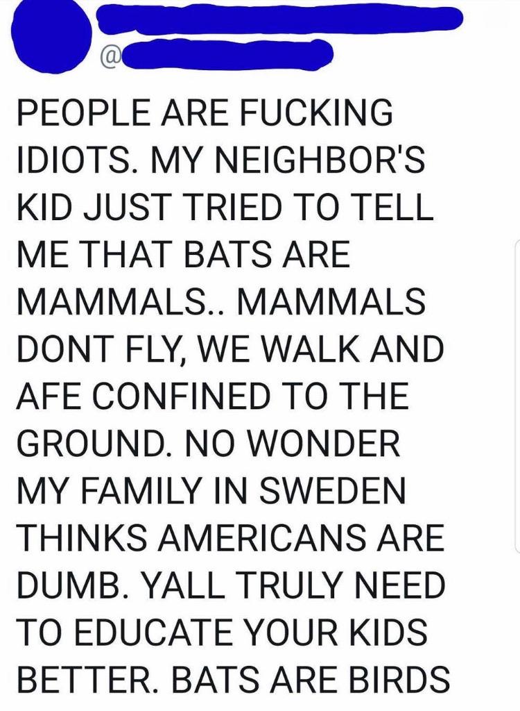 Bats+are+birds%26%238230%3B+kinda