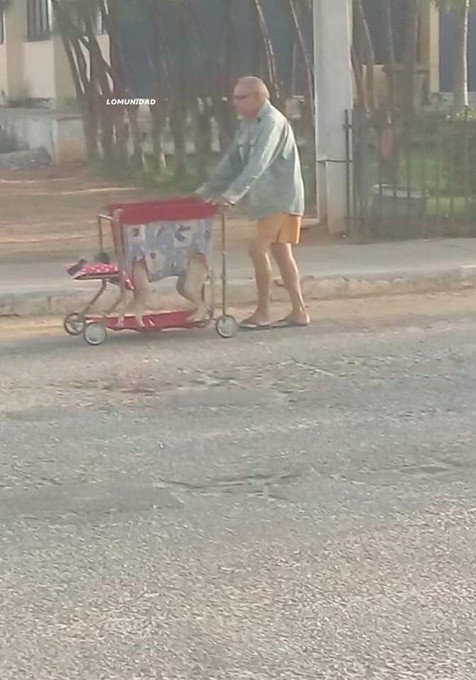 Walking+his+quadriplegic+dog