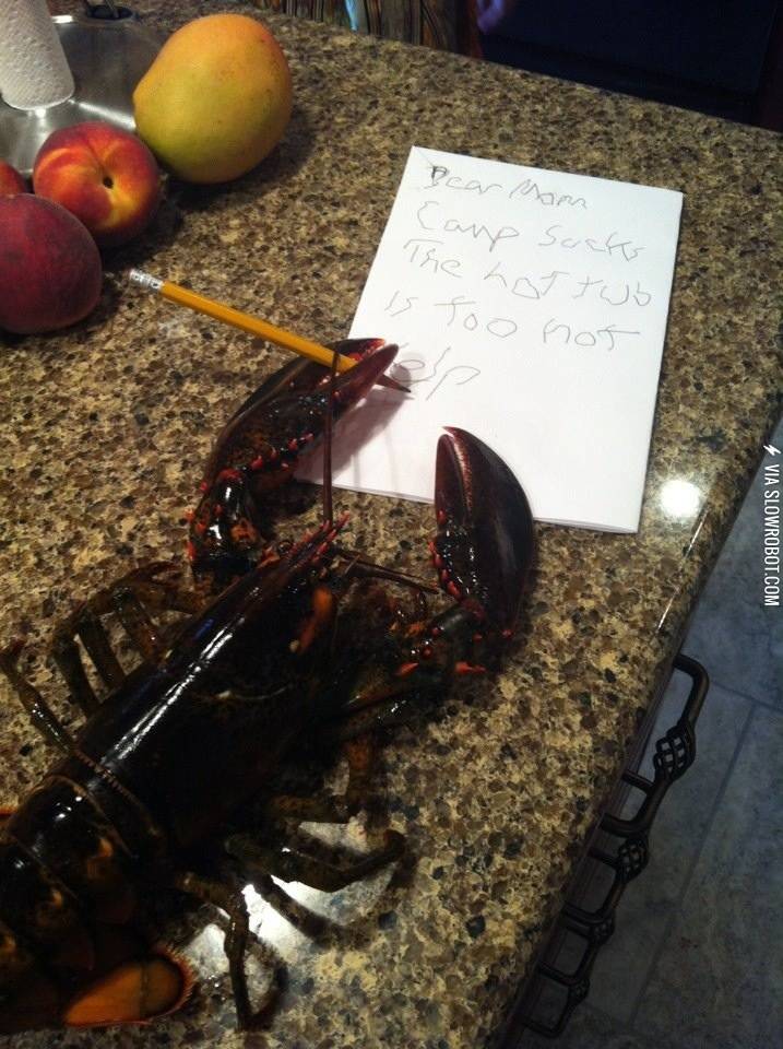 Lobsters+are+so+silly.