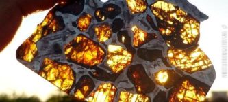 Slice+of+Pallasite+Meteorite