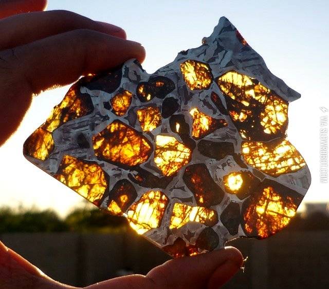 Slice+of+Pallasite+Meteorite