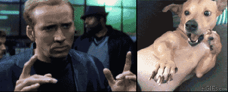 Nicolas+cage+vs.+this+dog.