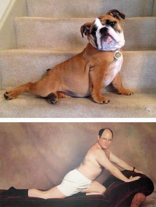 The+resemblance+is+uncanny