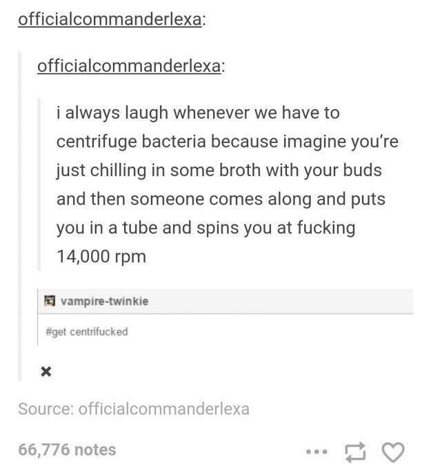 Whirly-woo+go+the+squirrely-goo