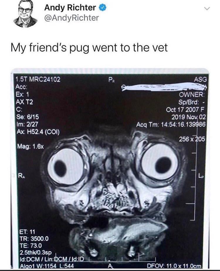 Stop+making+more+pugs%26%238230%3B