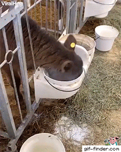 Drinking+can+be+hard.