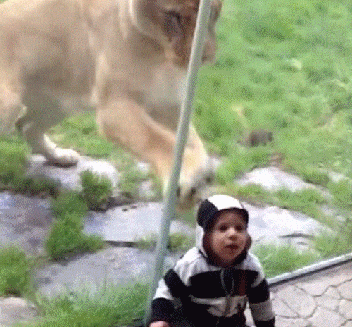 There%26%238217%3Bs+something+behind+me+isn%26%238217%3Bt+there%3F