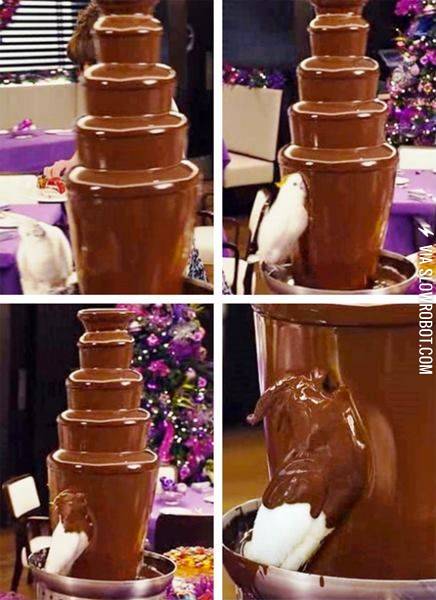 Sweet+mother+of+chocolate%21