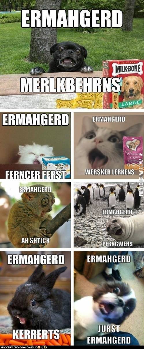 ERMAHGERD%21