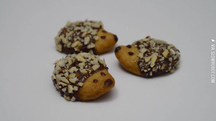 Hedgehog+cookies.