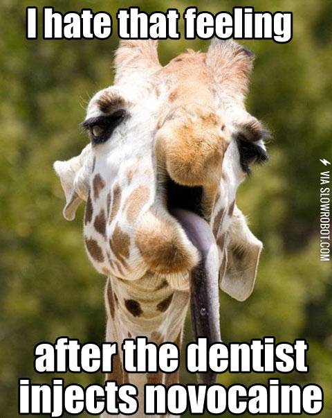 After+the+dentist+injects+novocain.