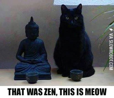 This+is+meow