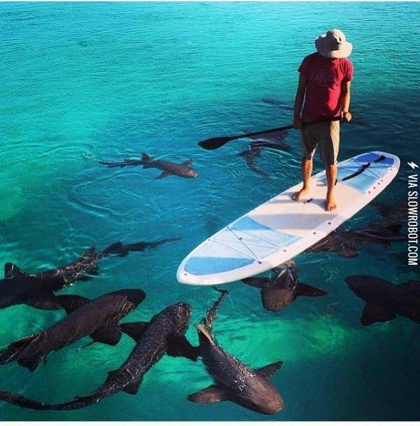 Don%26%238217%3Bt+fall+in%26%238230%3B