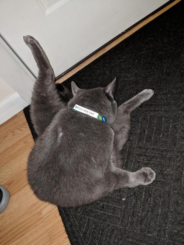 My+wife+got+a+new+label+printer