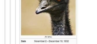 The+Great+Emu+War+of+1932