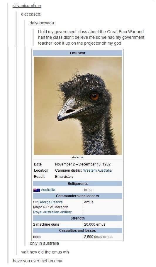 The+Great+Emu+War+of+1932