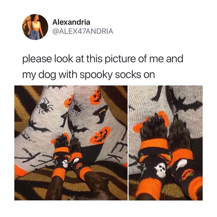 Spooky+ankle+wear.