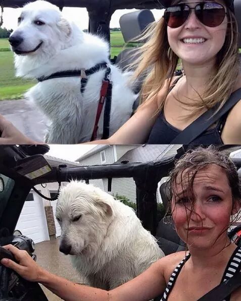 Just+Jeep+problems%26%238230%3B