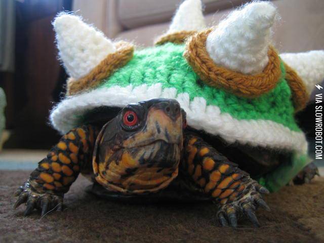 Bowser+turtle