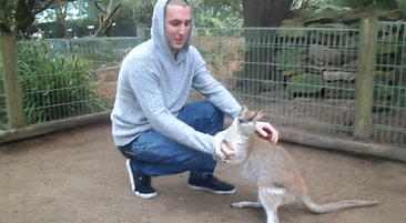 NO%21%2C+please+don%26%238217%3Bt+go.