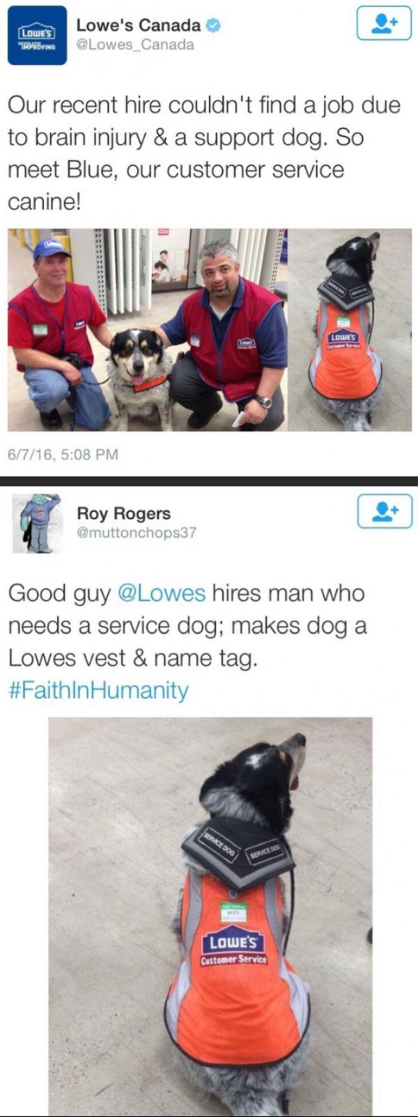 Good+guy+Canadian+Lowe%26%238217%3Bs