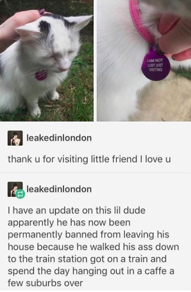 Not+lost+just+visiting