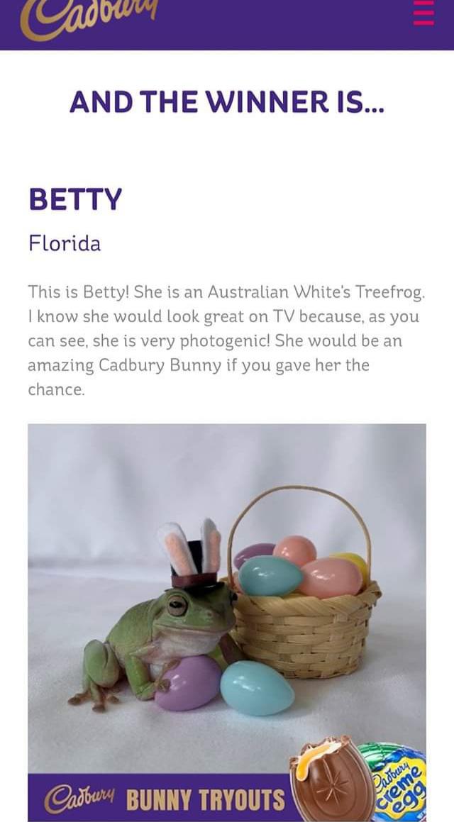 The+Cadbury+bunny+winner+for+2022+is+an+Australian+Tree+frog