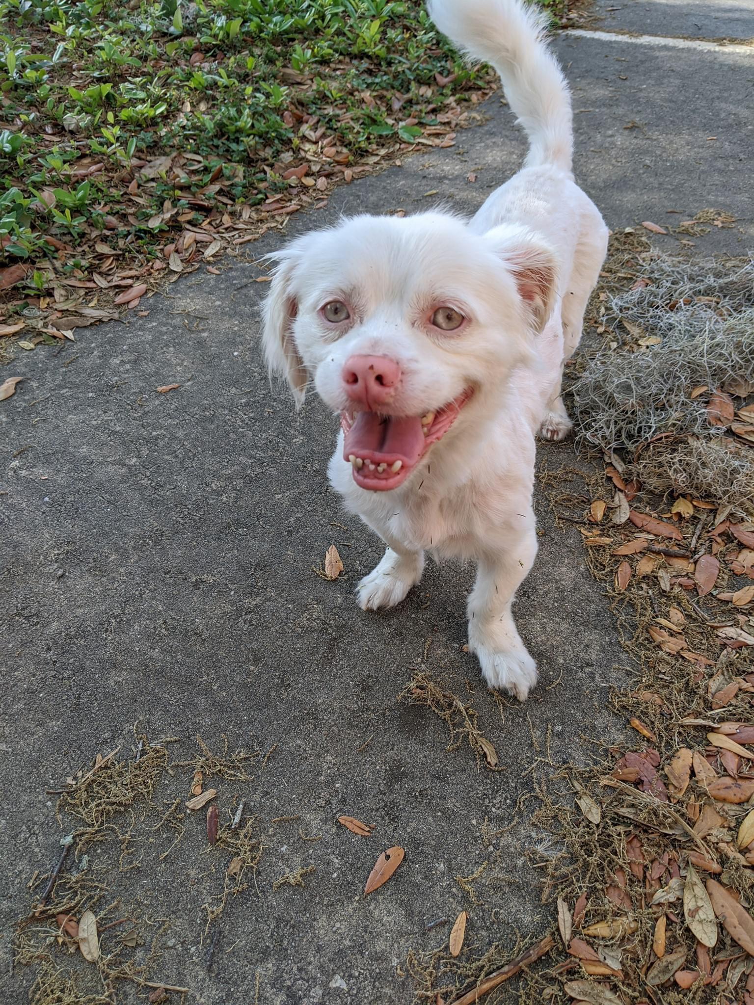 I+someone+reading+The+Never+Ending+Story%3F