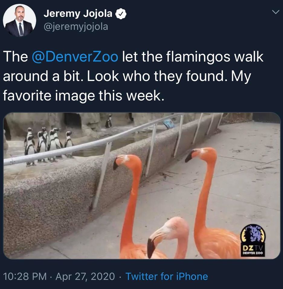 I+wonder+if+they+charged+admission.