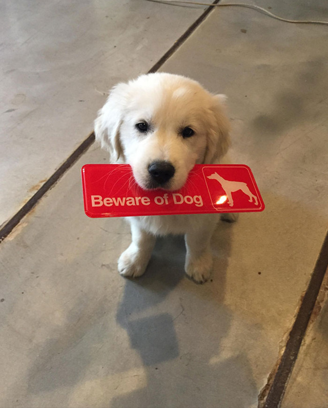 He+will+suffocate+you+with+a+smile.