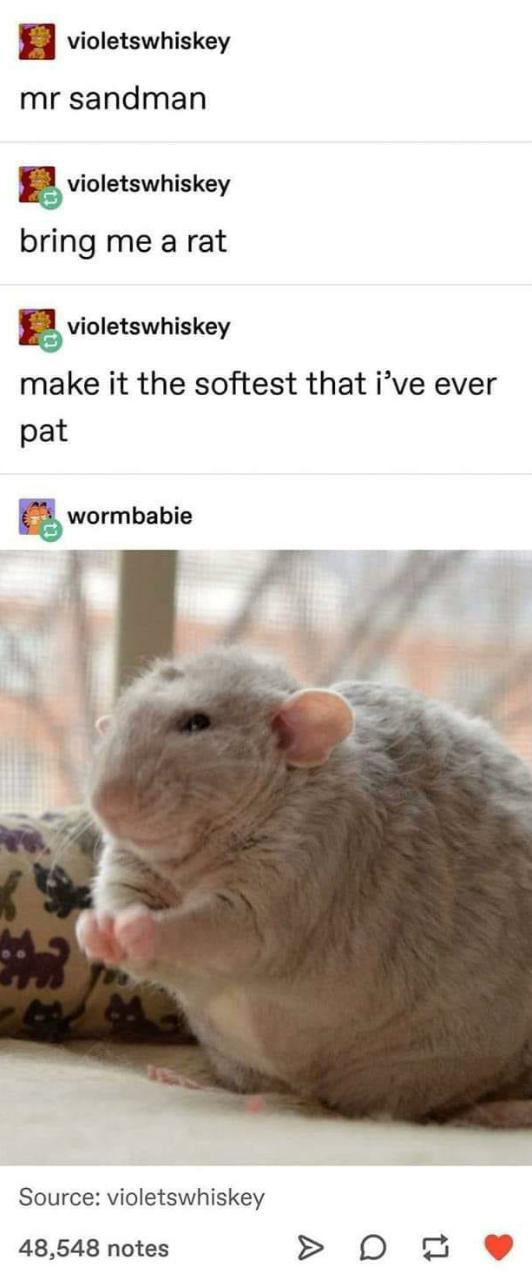 %2Apoke%2A+the+rats.